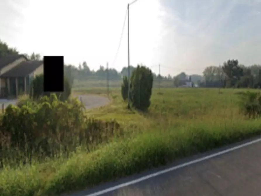 terreno agricolo in vendita a Canaro