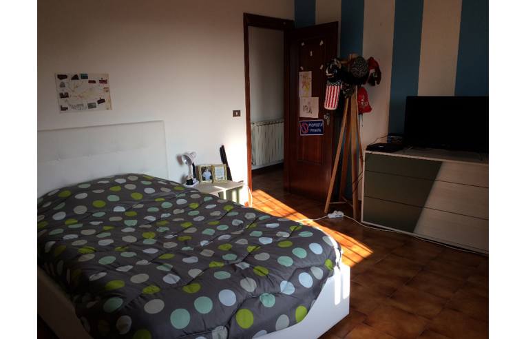 casa indipendente in vendita a Canaro