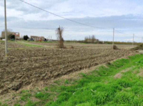 terreno agricolo in vendita a Canaro