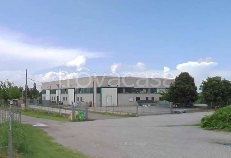 negozio in vendita a Canaro