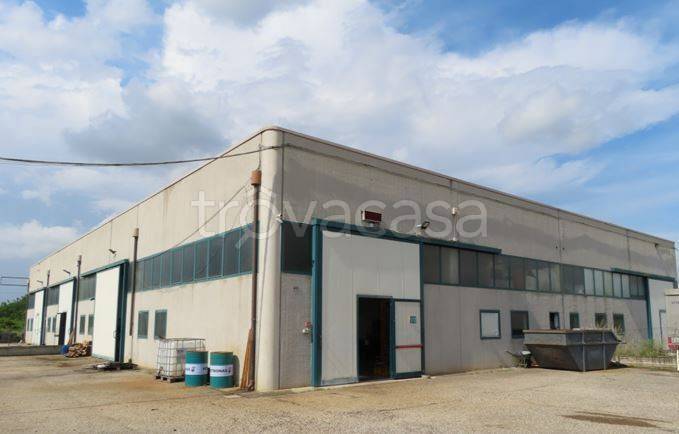 locale commerciale in vendita a Canaro