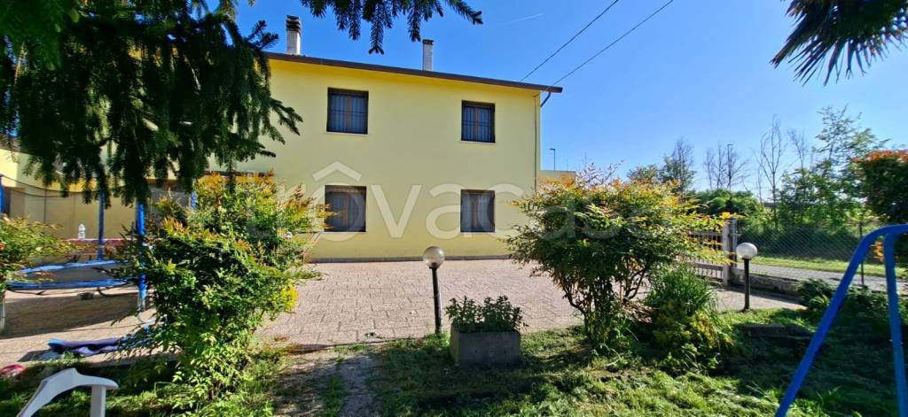 casa indipendente in vendita a Canaro