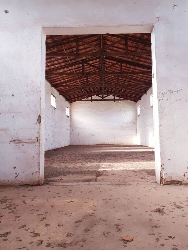 casa indipendente in vendita a Canaro