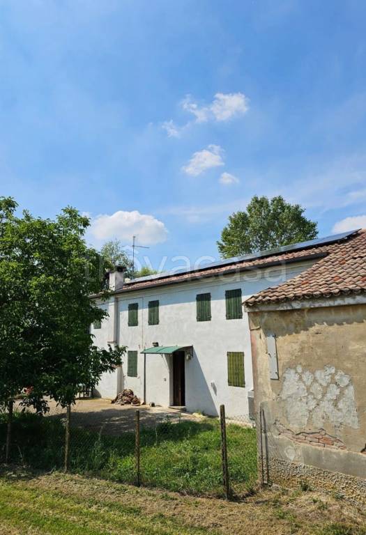 casa indipendente in vendita a Canaro