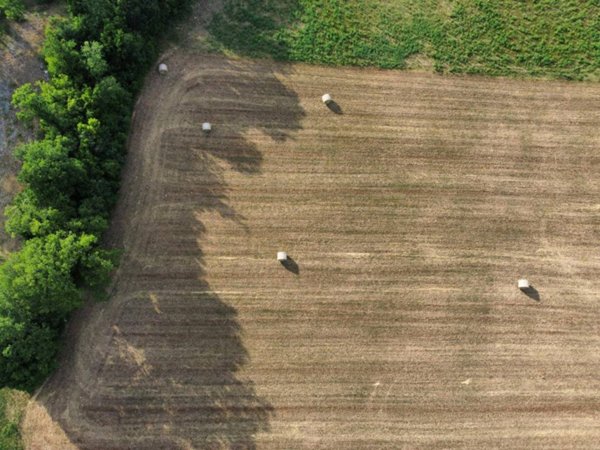 terreno agricolo in vendita a Canaro