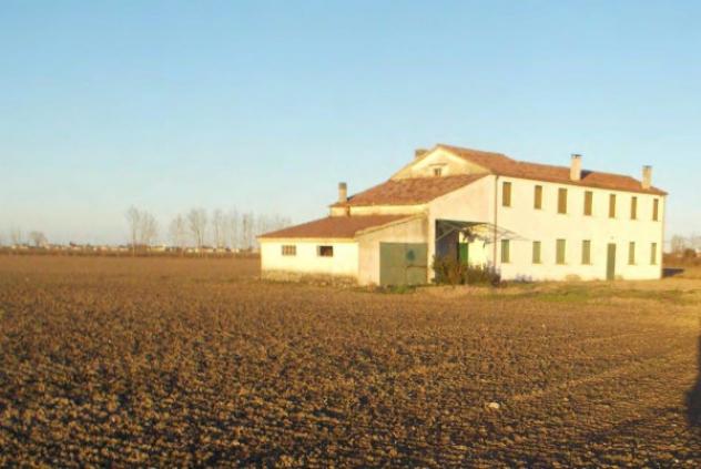 terreno edificabile in vendita a Canaro