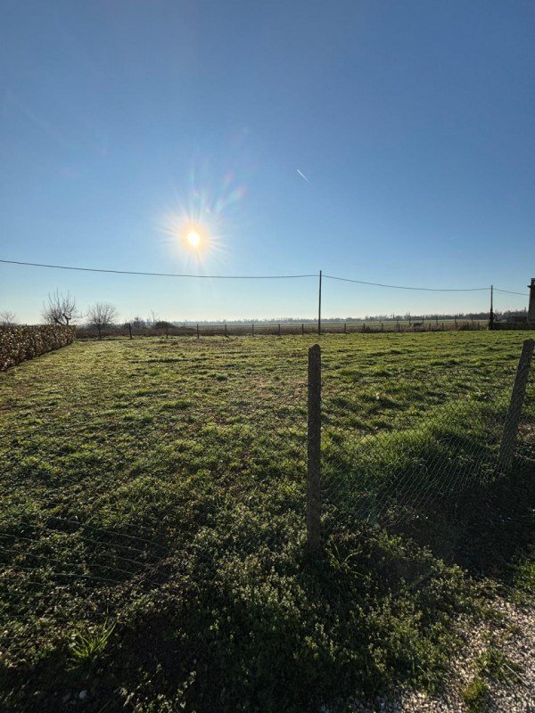 terreno agricolo in vendita a Canda