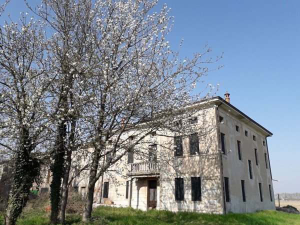 casa indipendente in vendita a Canda