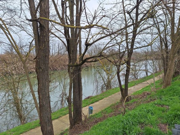 casa indipendente in vendita a Castelguglielmo