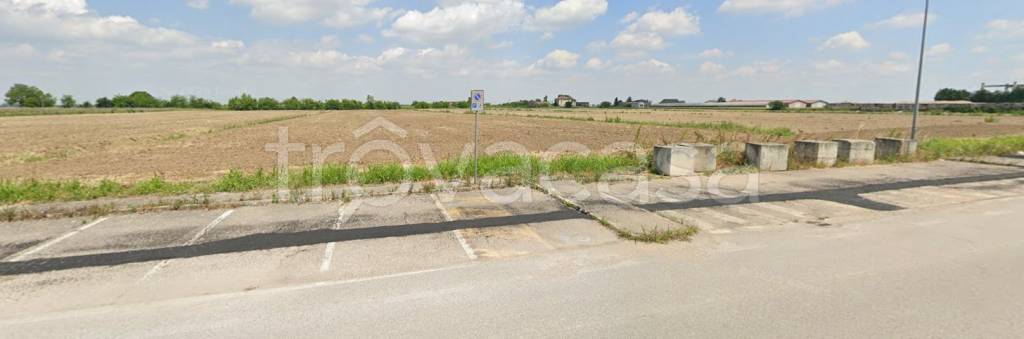 terreno agricolo in vendita a Castelguglielmo