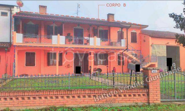 casa indipendente in vendita a Castelnovo Bariano