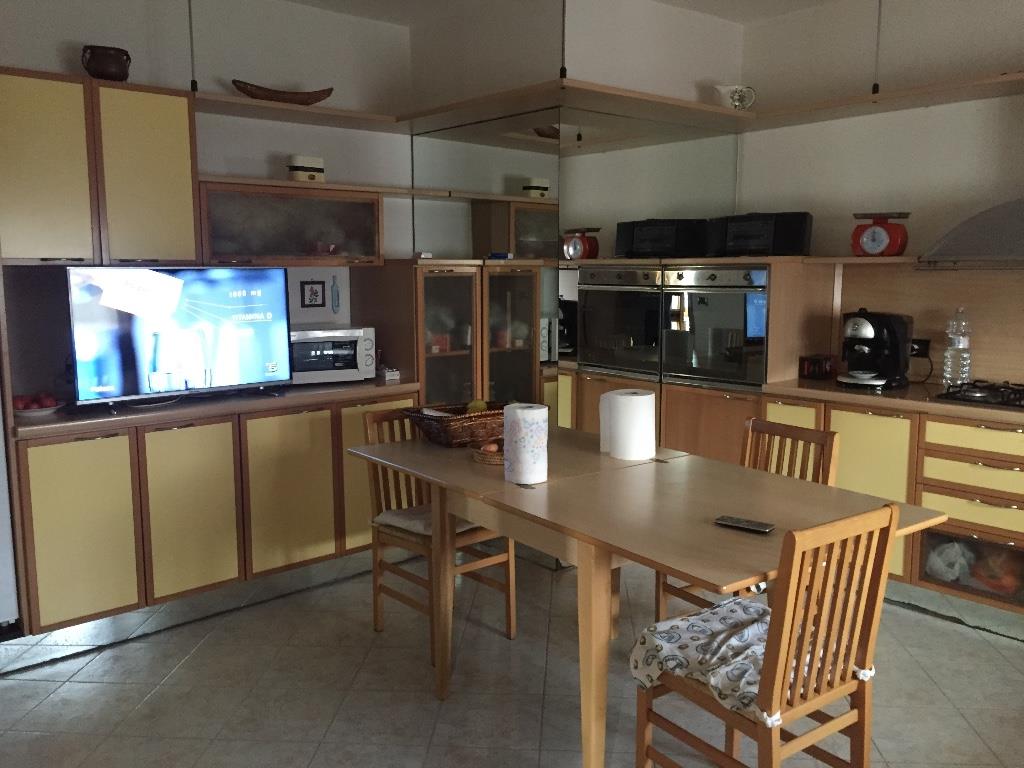 casa indipendente in vendita a Castelnovo Bariano