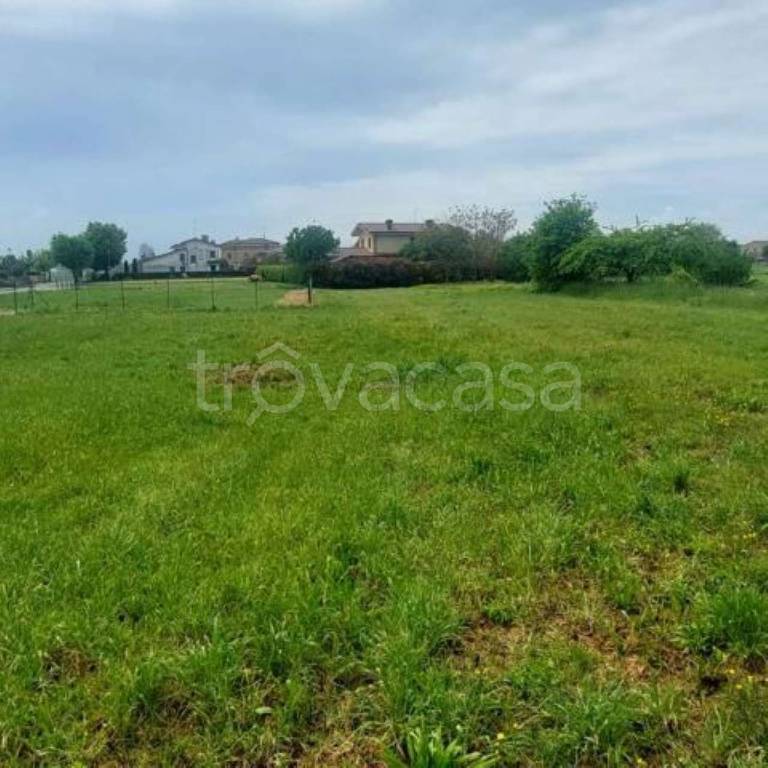 terreno agricolo in vendita a Ceneselli