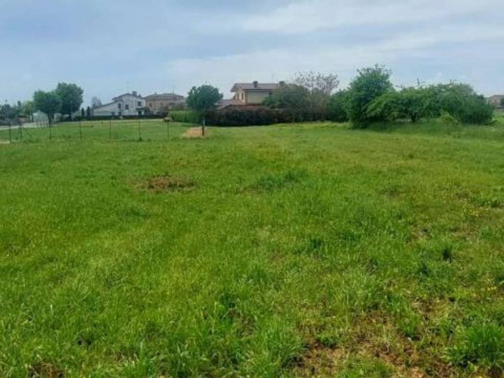 terreno agricolo in vendita a Ceneselli