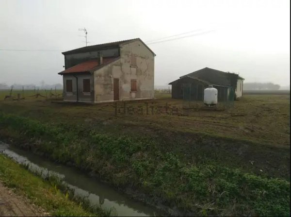 casa indipendente in vendita a Ceneselli