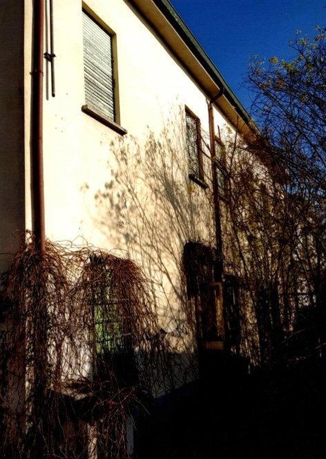 negozio in vendita a Ceneselli