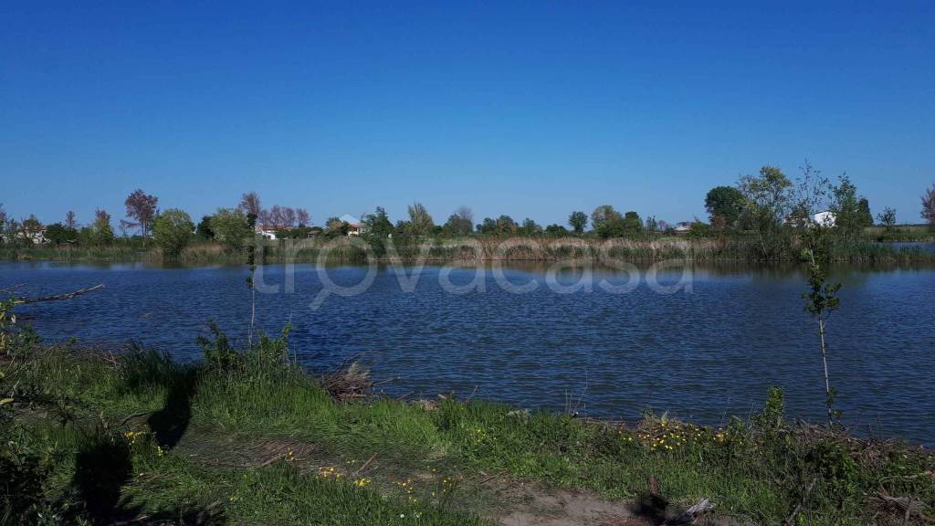 terreno agricolo in vendita a Ceneselli in zona Branzetta