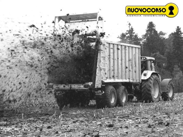 terreno agricolo in vendita a Ceregnano
