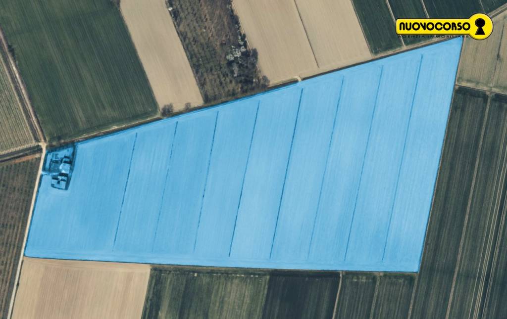 terreno agricolo in vendita a Ceregnano