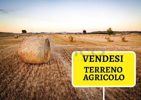 terreno agricolo in vendita a Ceregnano