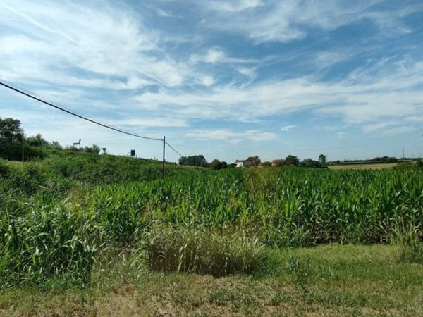 terreno agricolo in vendita a Corbola