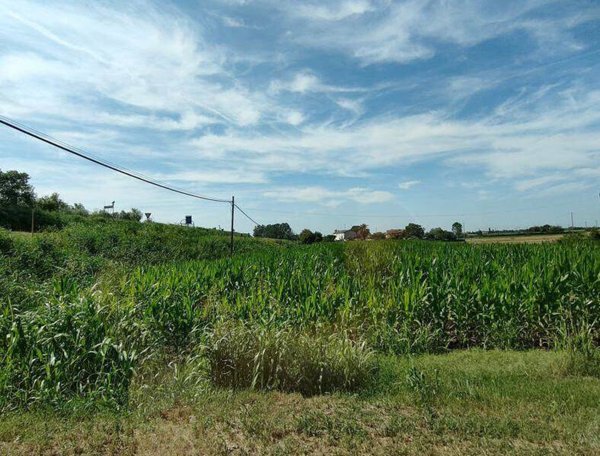 terreno agricolo in vendita a Corbola