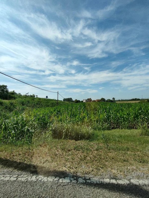 terreno agricolo in vendita a Corbola