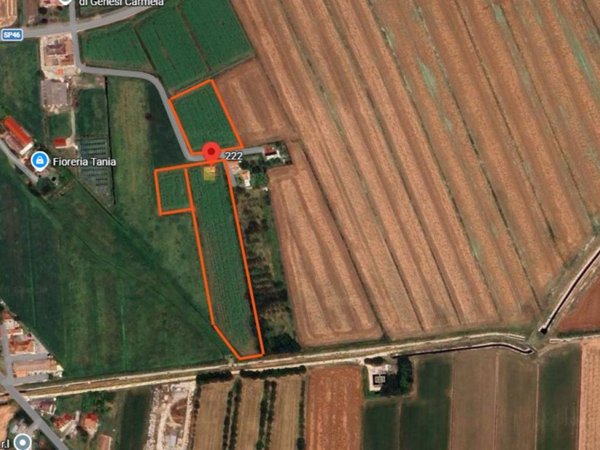 terreno agricolo in vendita a Corbola