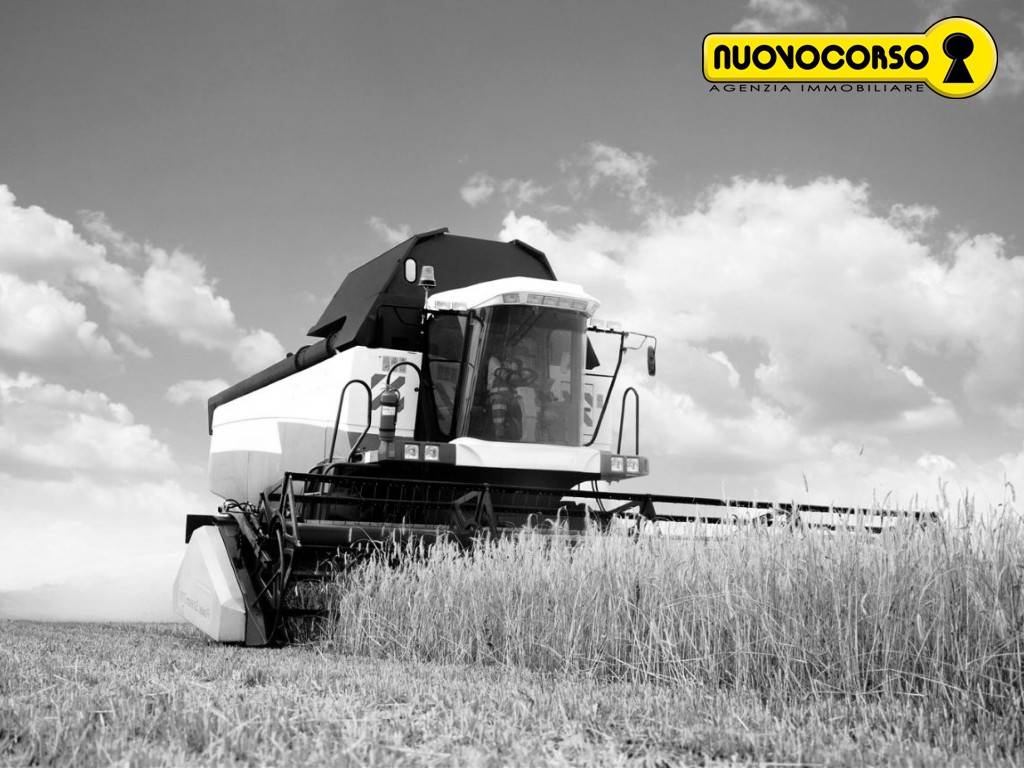 terreno agricolo in vendita a Costa di Rovigo