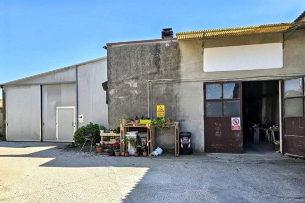 locale commerciale in vendita a Costa di Rovigo