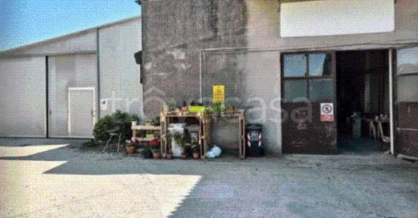 negozio in vendita a Costa di Rovigo