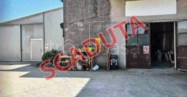 negozio in vendita a Costa di Rovigo