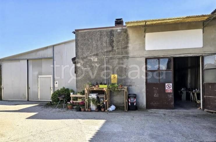 locale commerciale in vendita a Costa di Rovigo