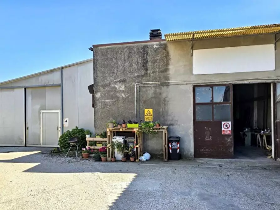 locale commerciale in vendita a Costa di Rovigo