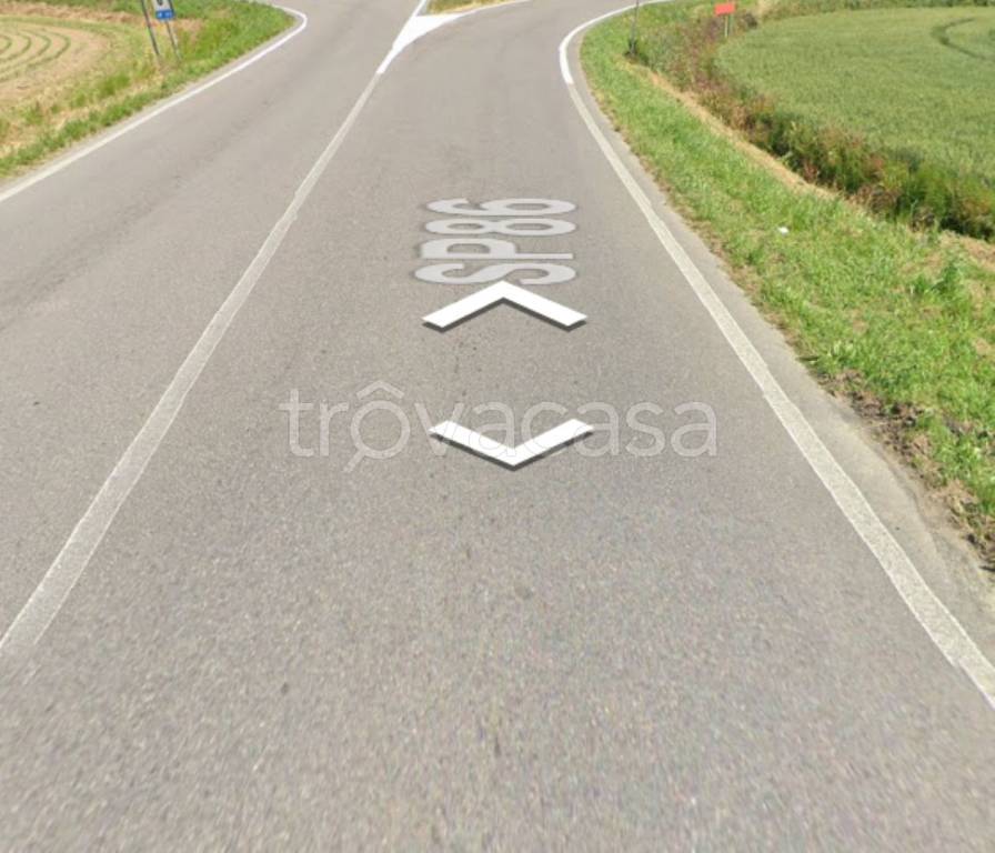 terreno agricolo in vendita a Ficarolo