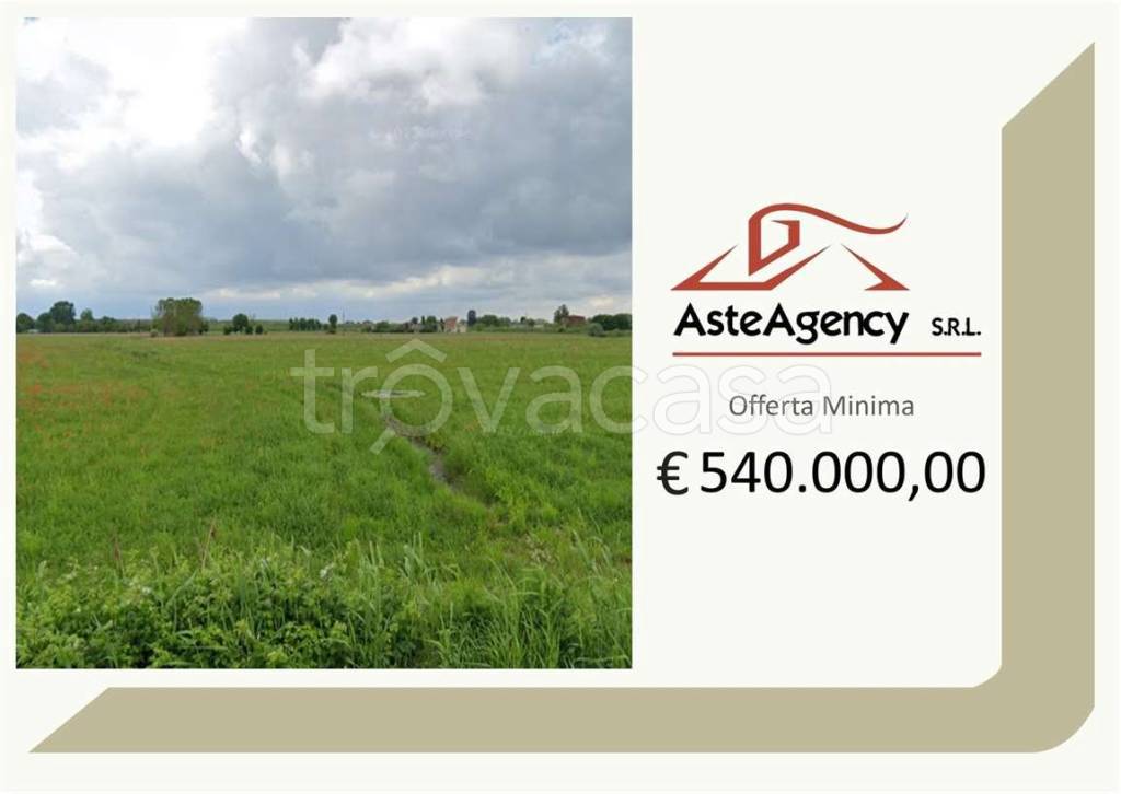 terreno agricolo in vendita a Ficarolo