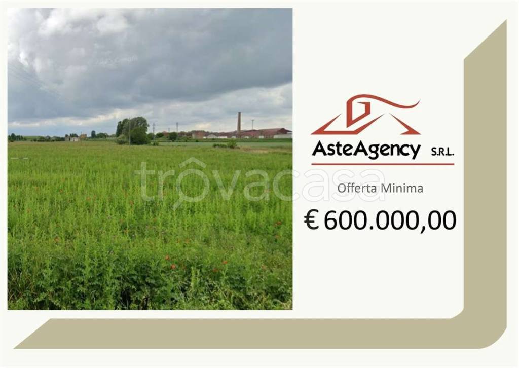terreno agricolo in vendita a Ficarolo