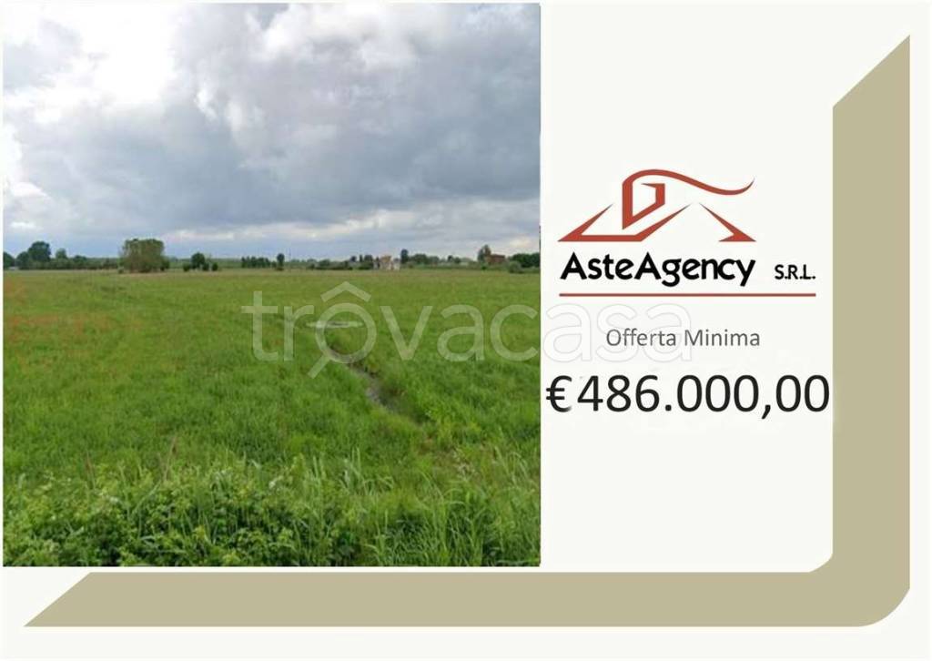 terreno agricolo in vendita a Ficarolo