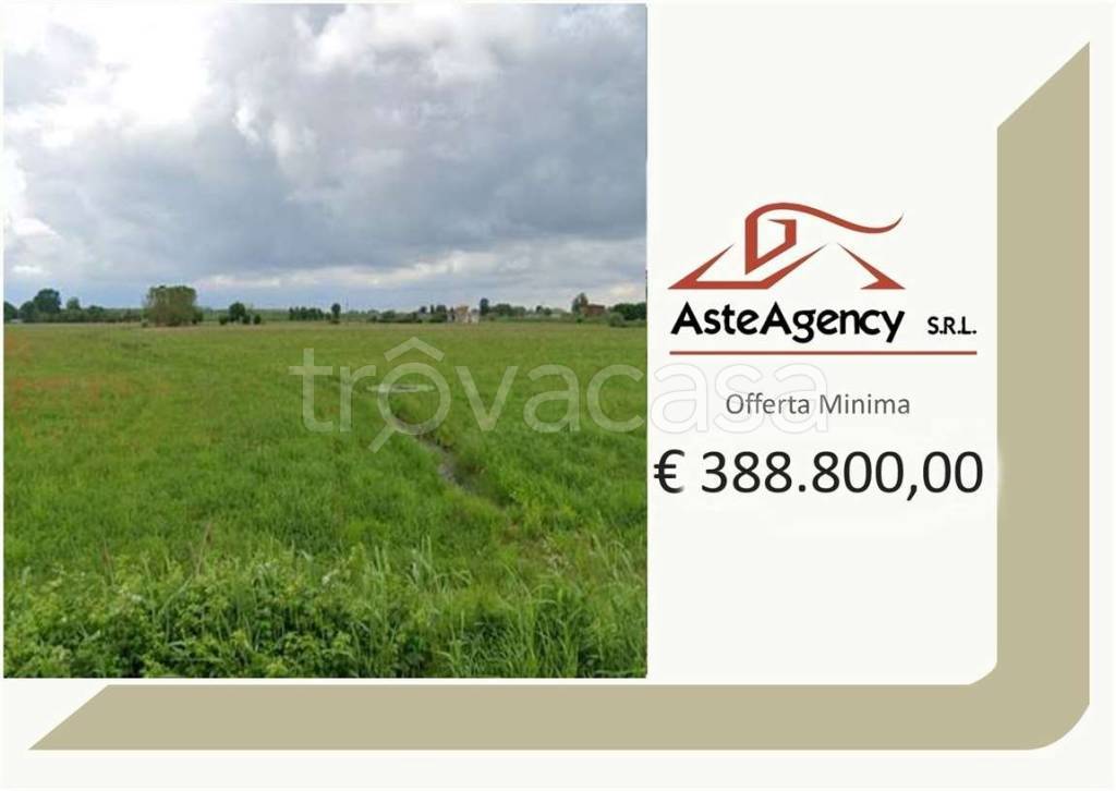 terreno agricolo in vendita a Ficarolo