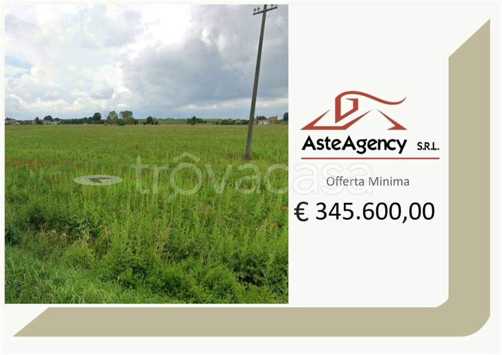 terreno agricolo in vendita a Ficarolo