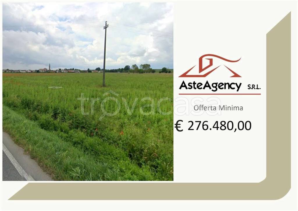 terreno agricolo in vendita a Ficarolo