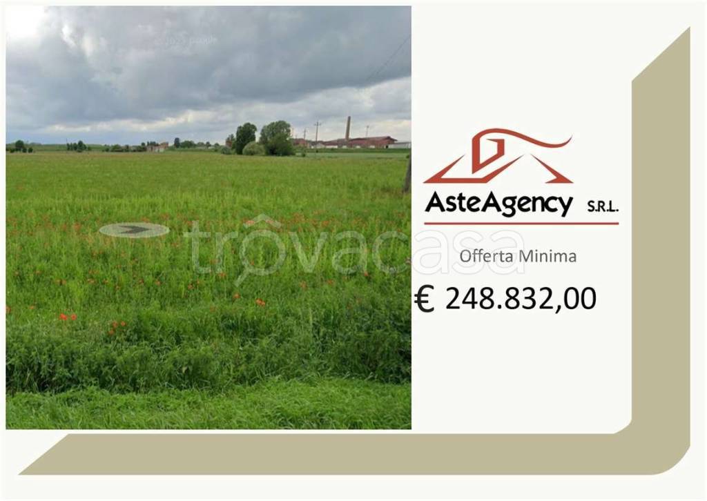 terreno agricolo in vendita a Ficarolo