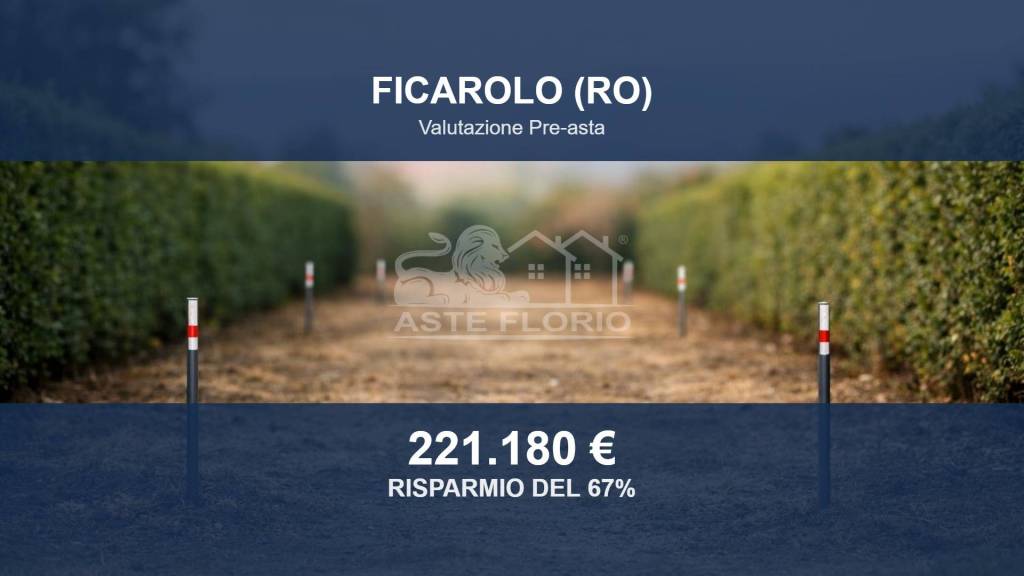 terreno agricolo in vendita a Ficarolo