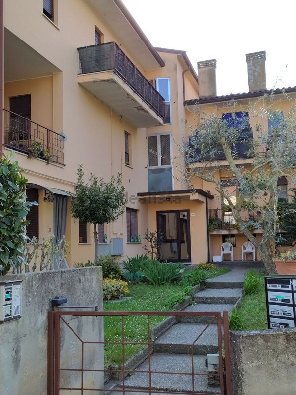 appartamento in vendita a Ficarolo