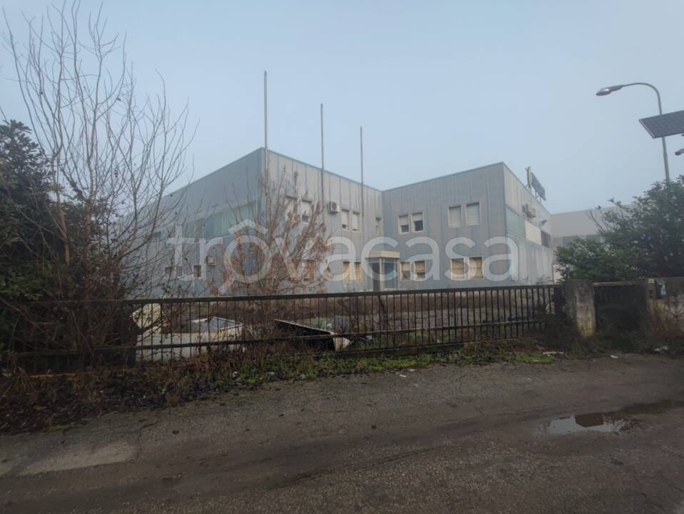 locale commerciale in vendita a Fiesso Umbertiano