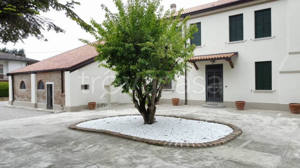casa indipendente in vendita a Fiesso Umbertiano in zona Ospitaletto