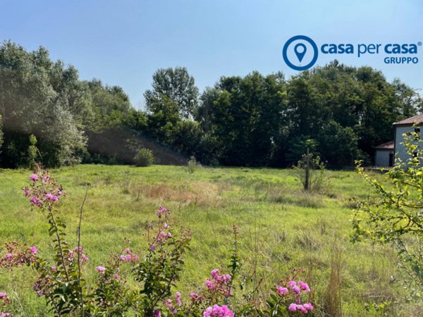 casa indipendente in vendita a Frassinelle Polesine