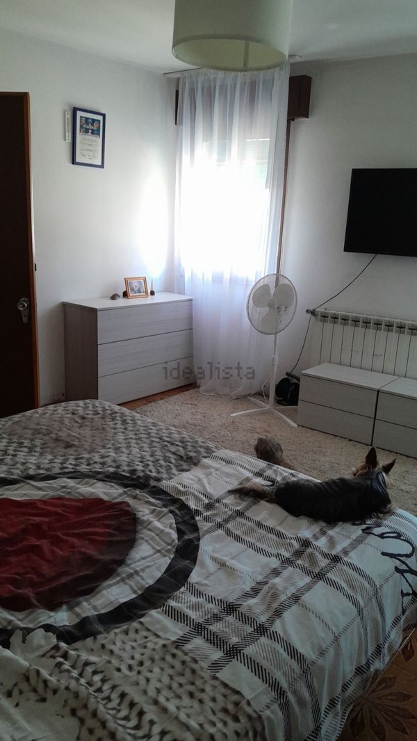 casa indipendente in vendita a Frassinelle Polesine