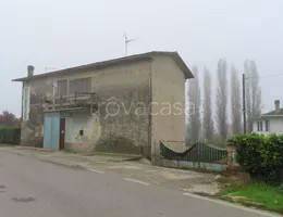 appartamento in vendita a Frassinelle Polesine