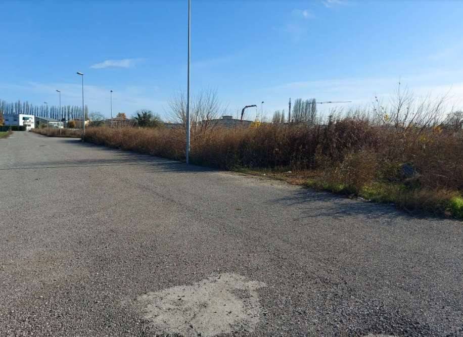 terreno agricolo in vendita a Fratta Polesine